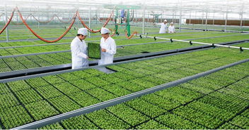 2015第十八届世博威北京国际有机绿色食品产业博览会明年开展