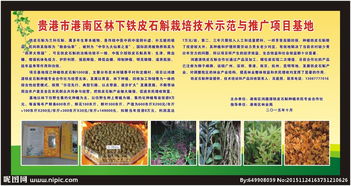 铁皮石斛栽培技术示范与推广项目图片